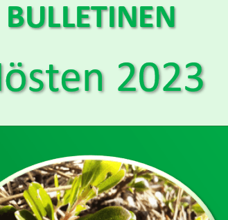 Bulletinen och anmälningar