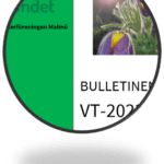 Nya Bulletinen och lite annat!